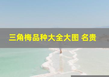 三角梅品种大全大图 名贵